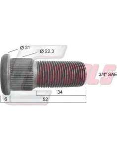CASALS21423