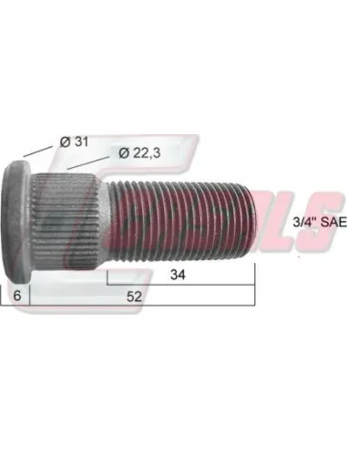 CASALS21423