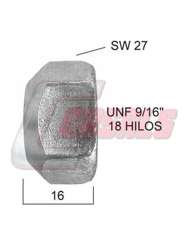 CASALS21440