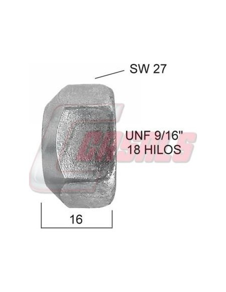 CASALS21440