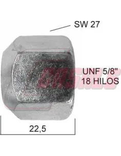 CASALS21445