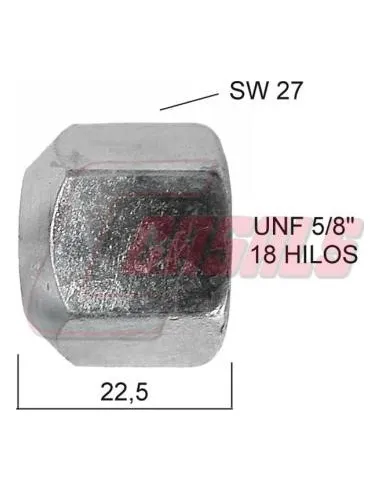 CASALS21445