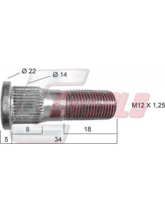 CASALS21446