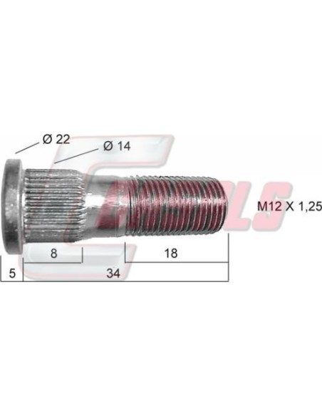CASALS21446
