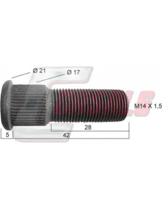 CASALS21453