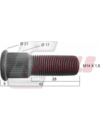 CASALS21453