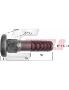 CASALS21455