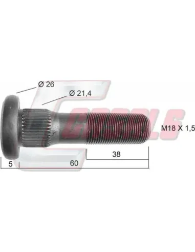 CASALS21455