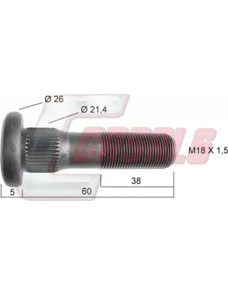 CASALS21455