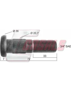 CASALS21458