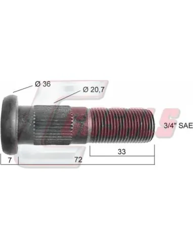 CASALS21458