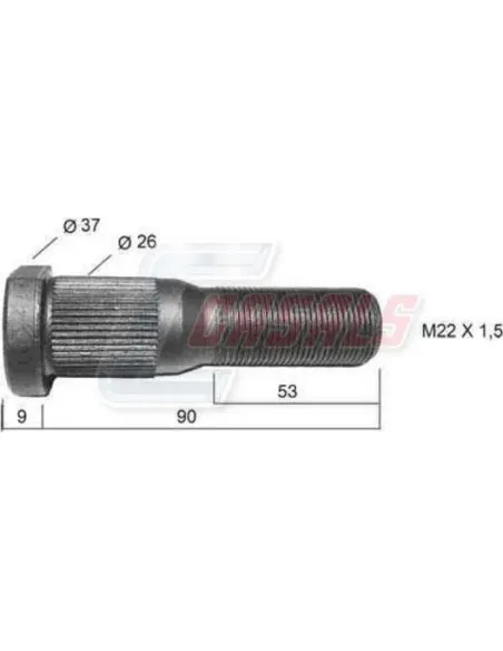 CASALS21460