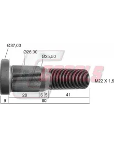 CASALS21461