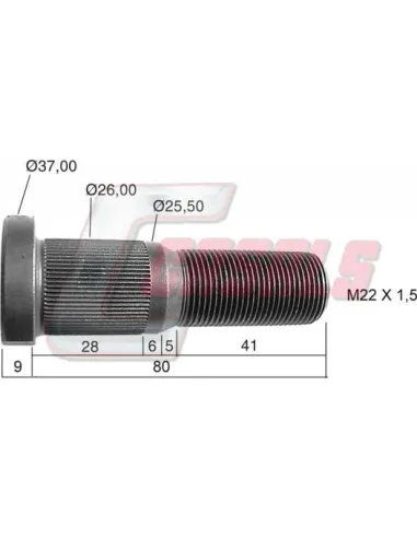 CASALS21461