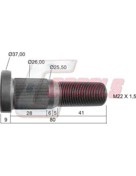 CASALS21461