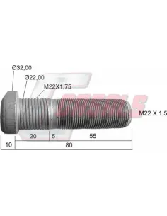 CASALS21463
