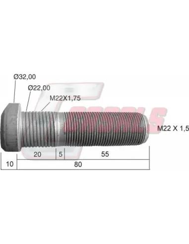 CASALS21463