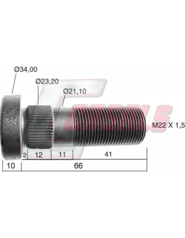 CASALS21469