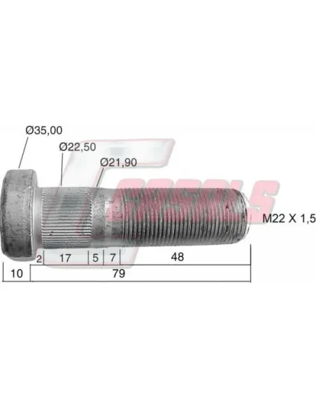 CASALS21474