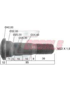 CASALS21479