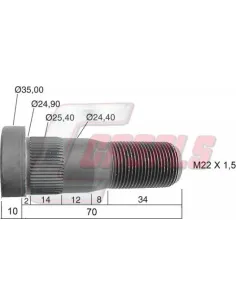 CASALS21481