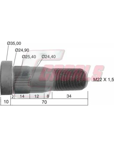 CASALS21481