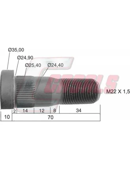 CASALS21481