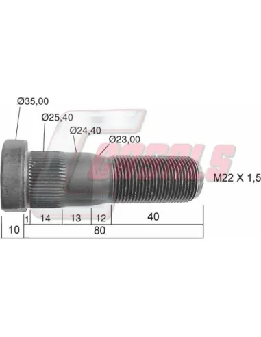 CASALS21482
