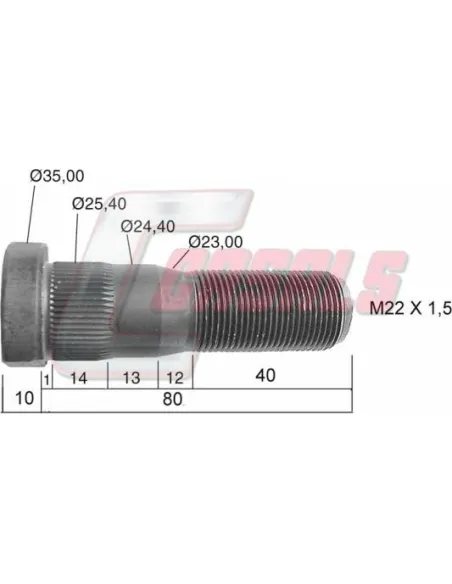 CASALS21482