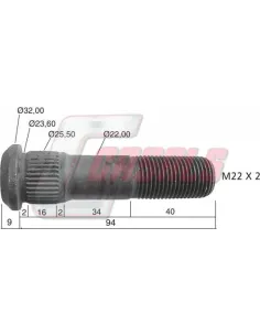 CASALS21485