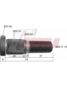 CASALS21486