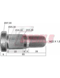 CASALS21488