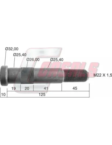 CASALS21489