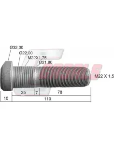 CASALS21493