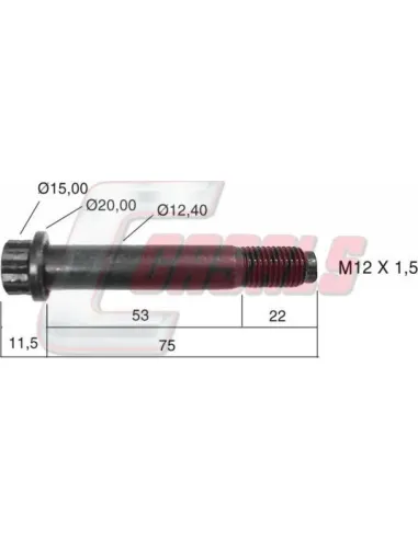 CASALS21507