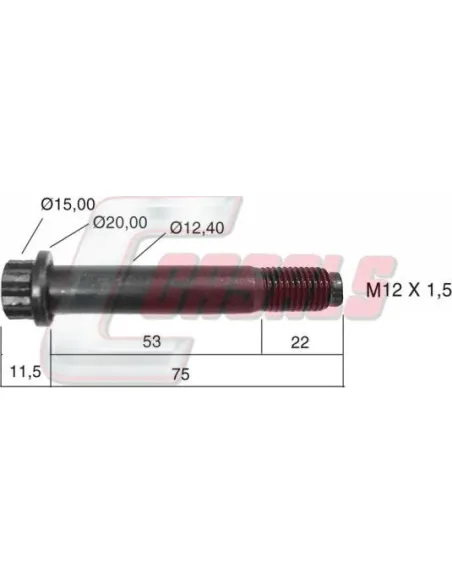 CASALS21507