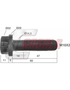 CASALS21510