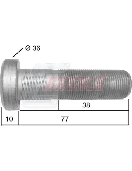 CASALS21523