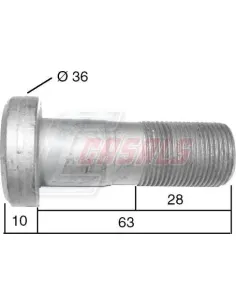 CASALS21524