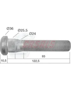 CASALS21532