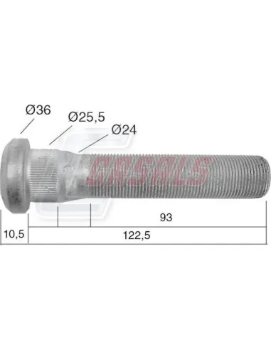 CASALS21532