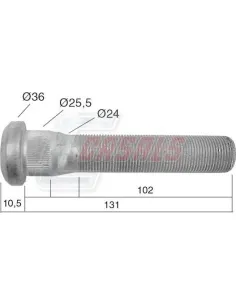 CASALS21533