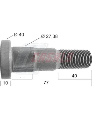 CASALS21534