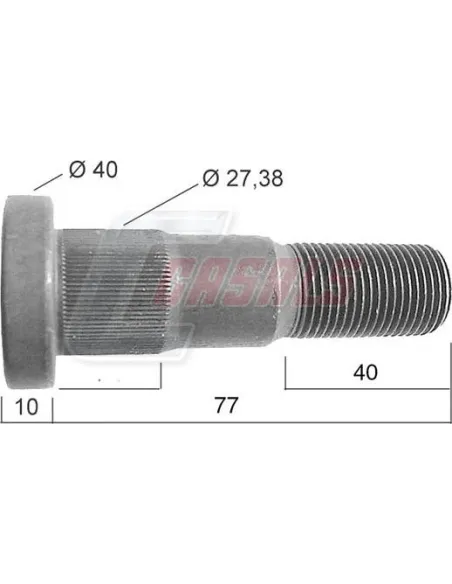 CASALS21534