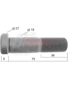 CASALS21537