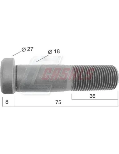CASALS21537