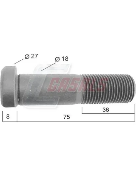 CASALS21537