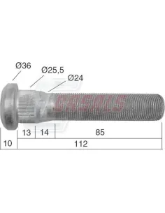 CASALS21538