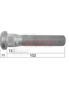 CASALS21539