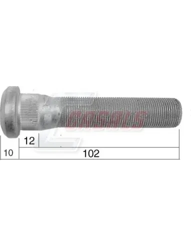CASALS21539